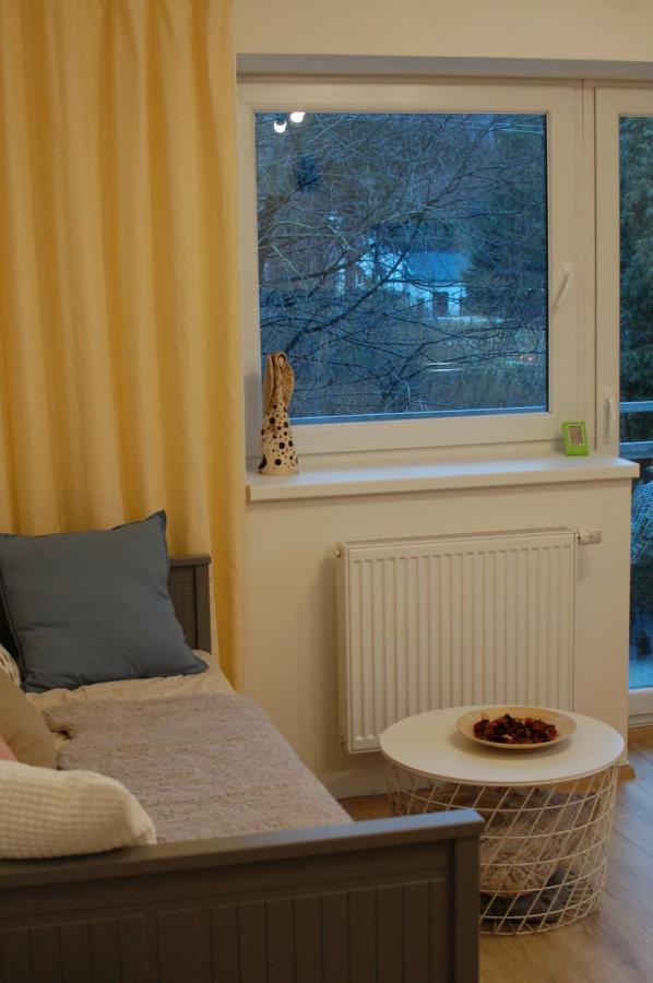 Apartman Masaryk Lipova Lazne Bagian luar foto